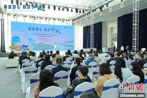 岭南风韵，活力羊城 社会组织打造特色文旅项目，点燃城市文化新热度