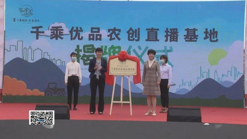 吕艺镇启动红色高家渡文化旅游暨万寿菊赏花活动，以花为媒深化文化艺术交流